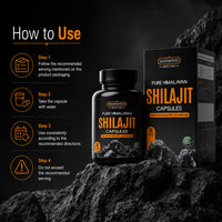 Shilajit Capsules